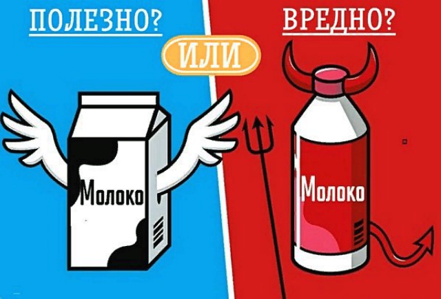 Молоко: польза или вред?