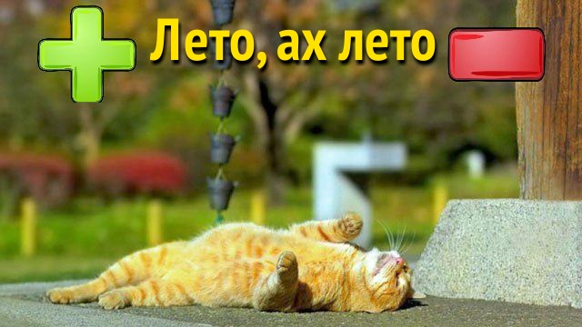 Время года - лето: плюсы и минусы